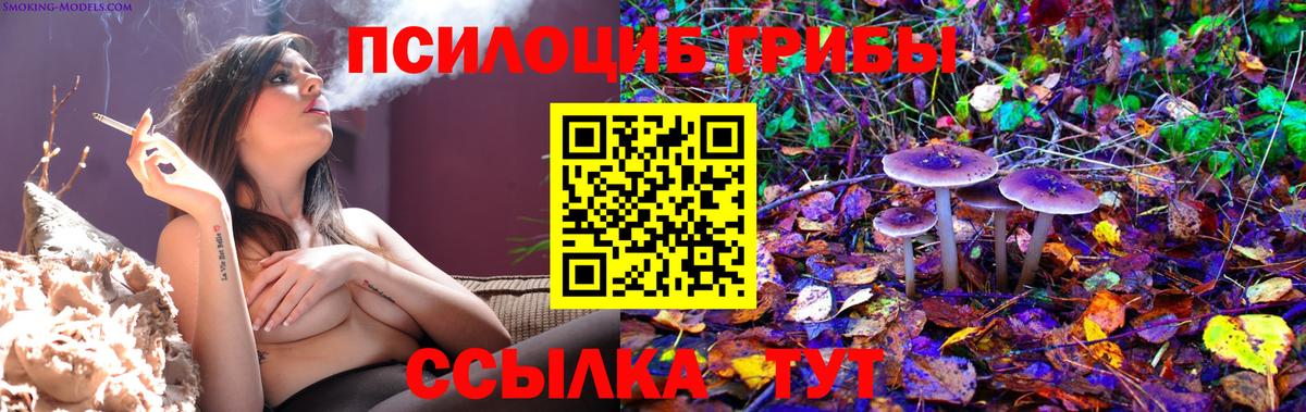 где купить наркотик  Псилоцибиновые грибы Psilocybine cubensis  Вход с VPN  Псилоцибиновые грибы мицелий  Урай 